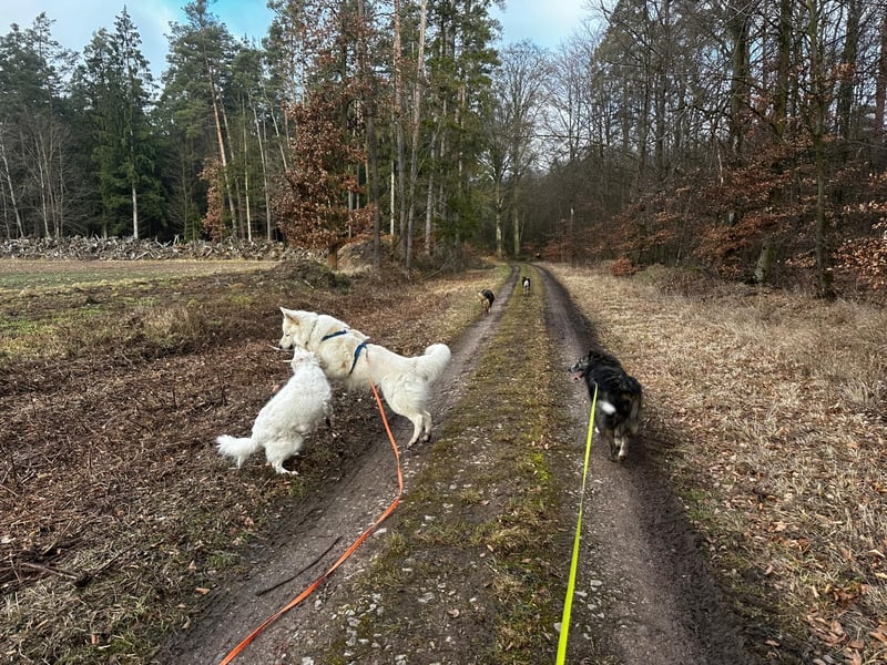 Marlon: „Würden Sie sich meiner annehmen?“
