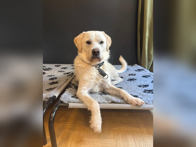 Sugar – zurück auf Start