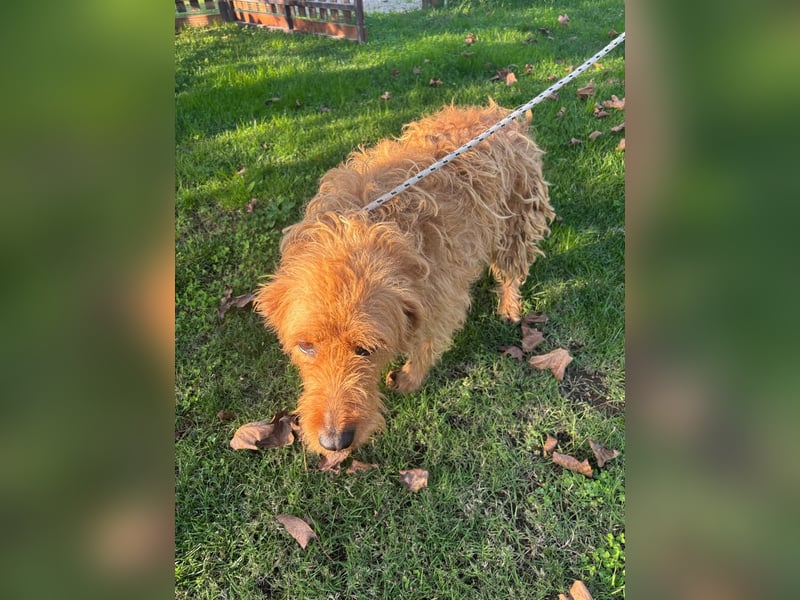 Wilma: „Nach Hause kommen! Wohin darf ich mich auf den Weg machen?