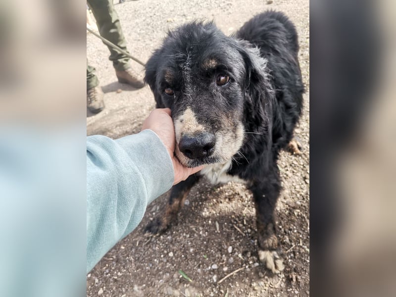 Bernie: "Ich sehe bloß cool aus"