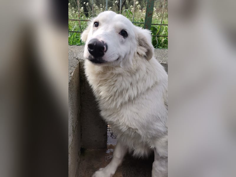 Pia: „Bitte nicht wieder wegschicken!“