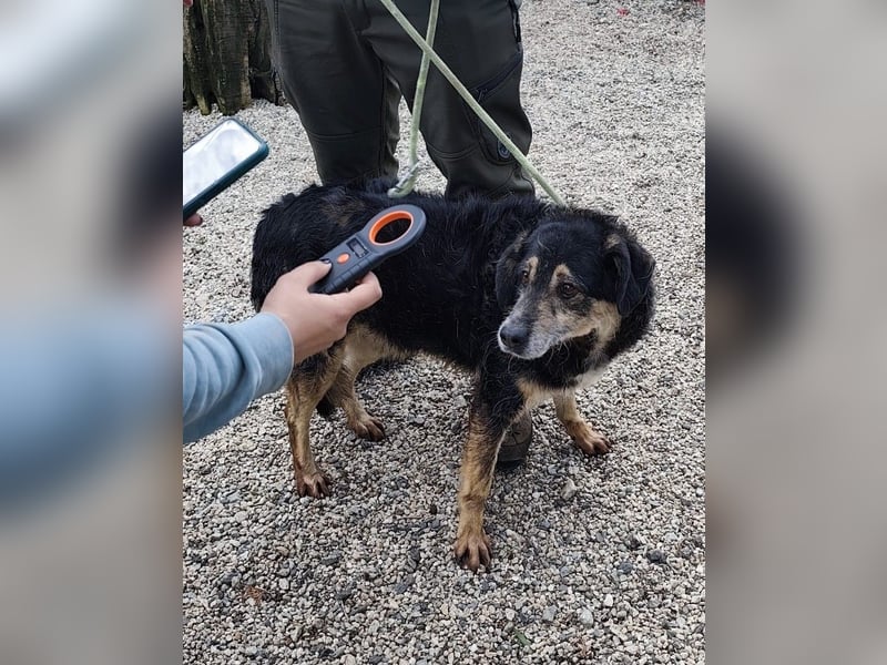 Bernie: "Ich sehe bloß cool aus"