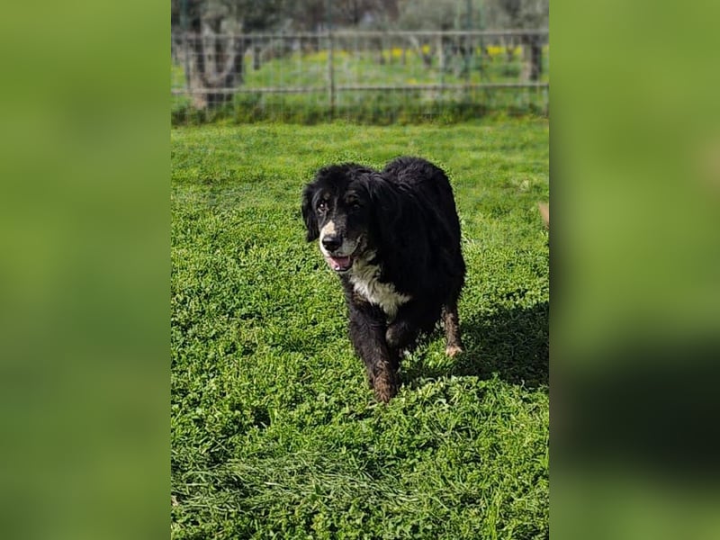 Bernie: "Ich sehe bloß cool aus"