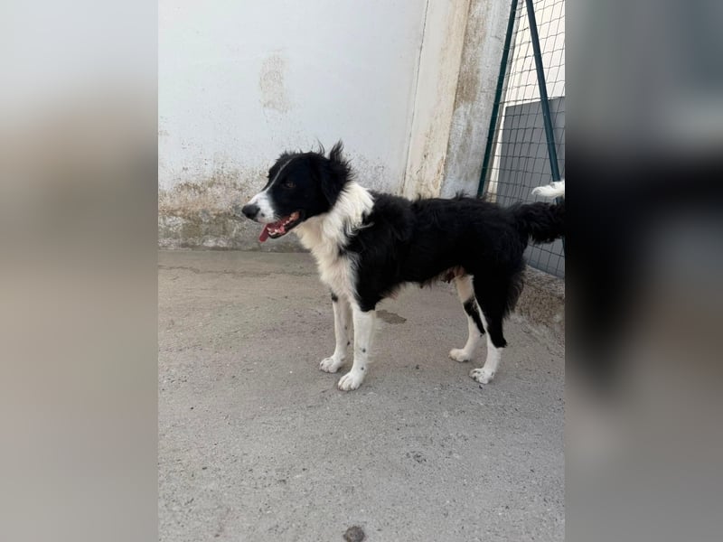 ‚Bella e ..possibile‘