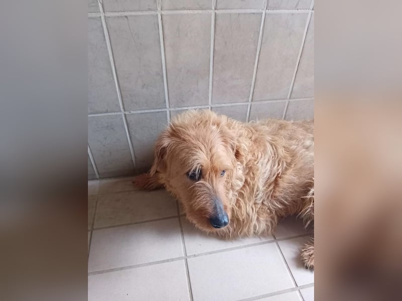 Wilma: „Nach Hause kommen! Wohin darf ich mich auf den Weg machen?