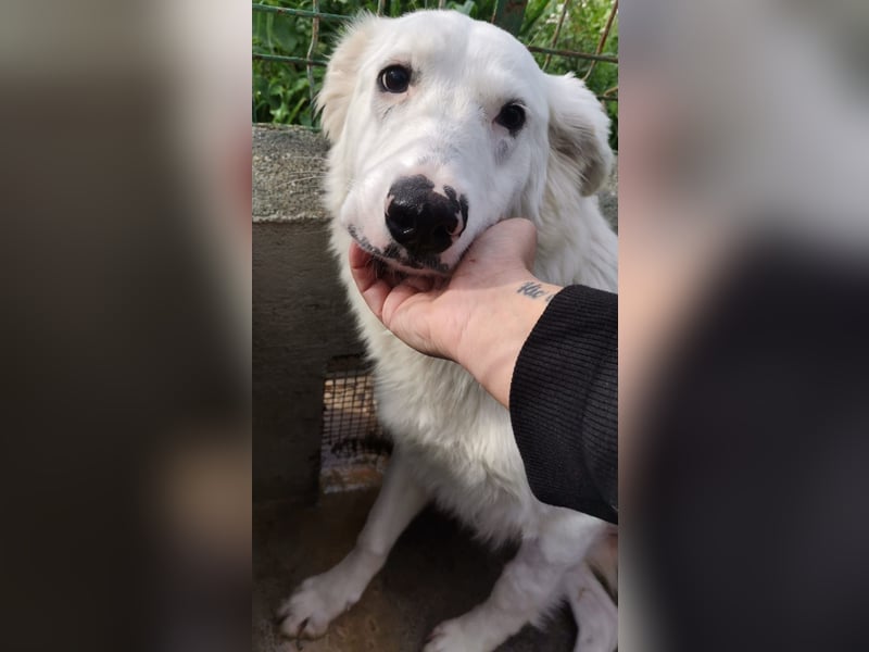 Pia: „Bitte nicht wieder wegschicken!“