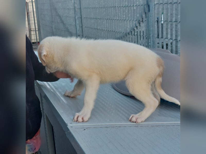 Django - auf ins neue Leben!