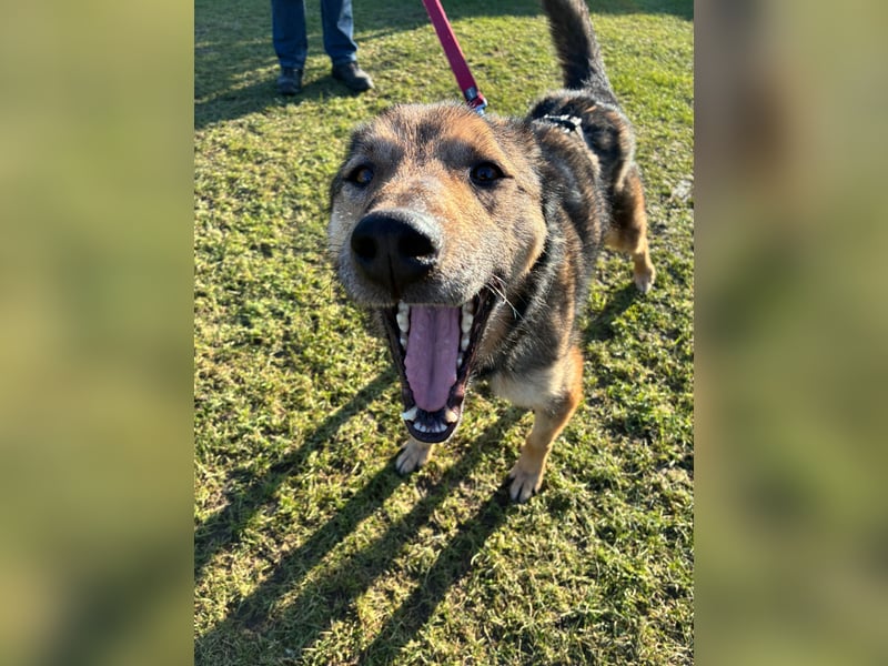 Liv sucht ihr Glück