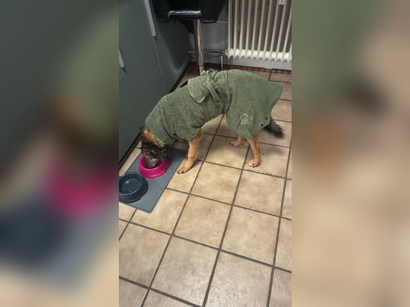 Liv sucht ihr Glück