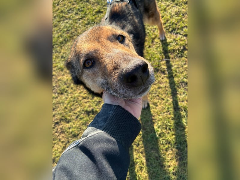 Liv sucht ihr Glück