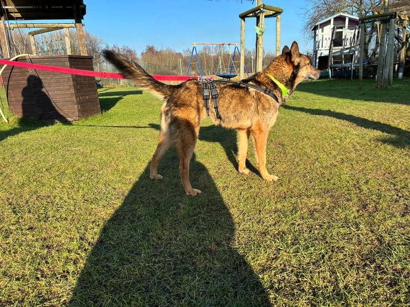 Liv sucht ihr Glück