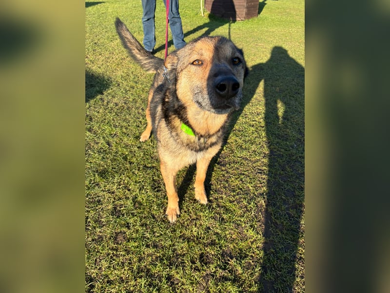 Liv sucht ihr Glück