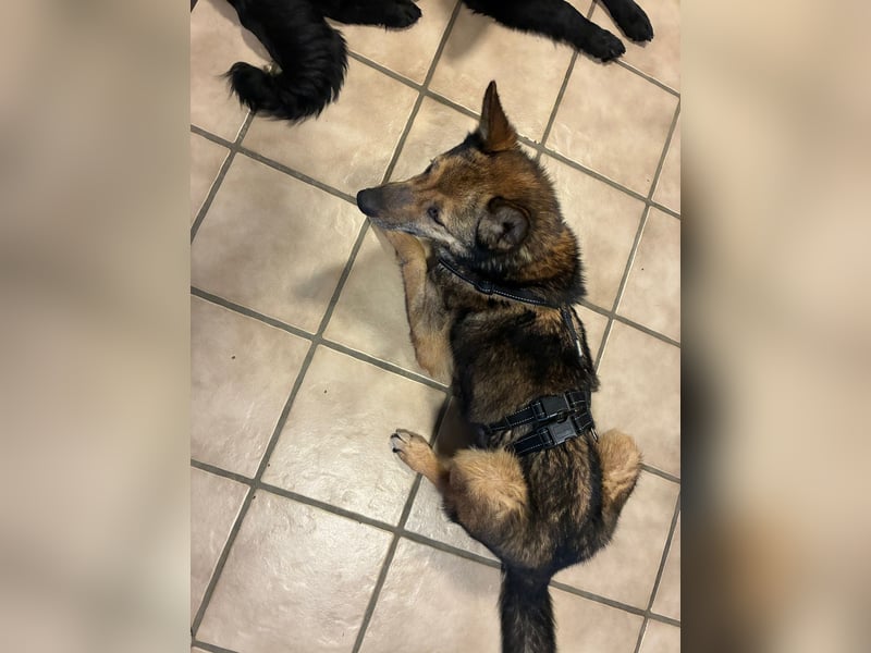 Liv sucht ihr Glück