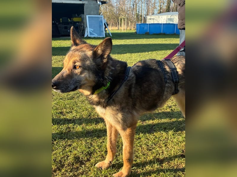 Liv sucht ihr Glück