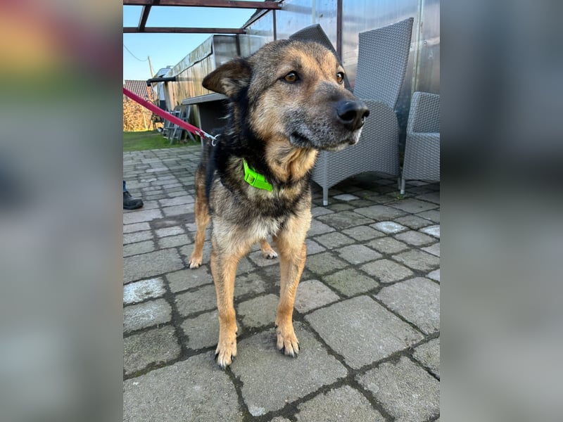 Liv sucht ihr Glück