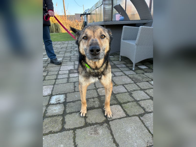 Liv sucht ihr Glück