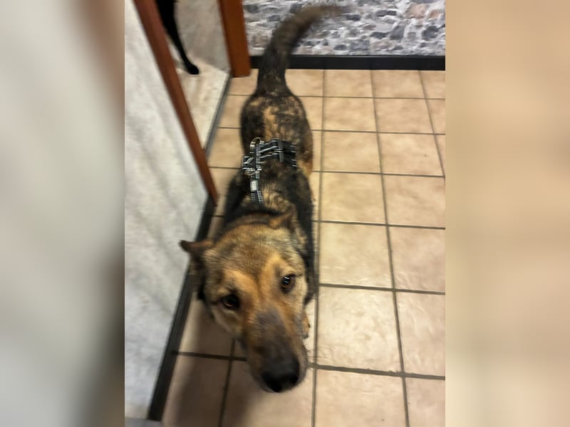 Liv sucht ihr Glück