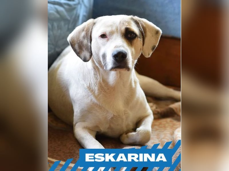 Eskarina