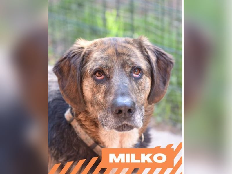 Milko