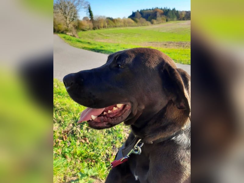 Santal - Lebensfreude pur