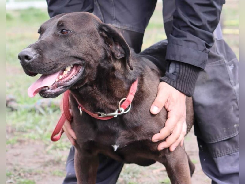 Santal - Lebensfreude pur