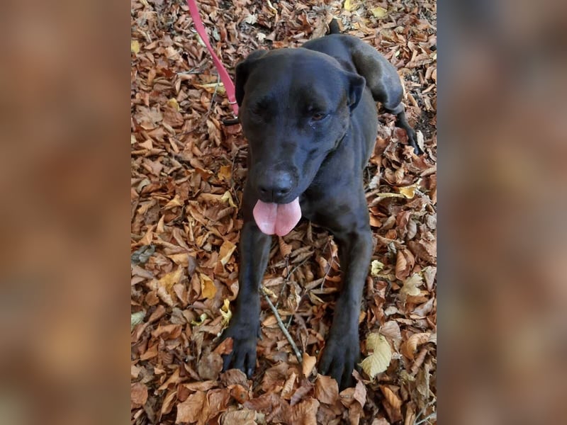 Santal - Lebensfreude pur