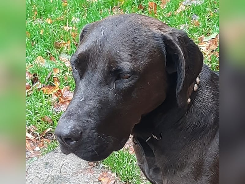 Santal - Lebensfreude pur