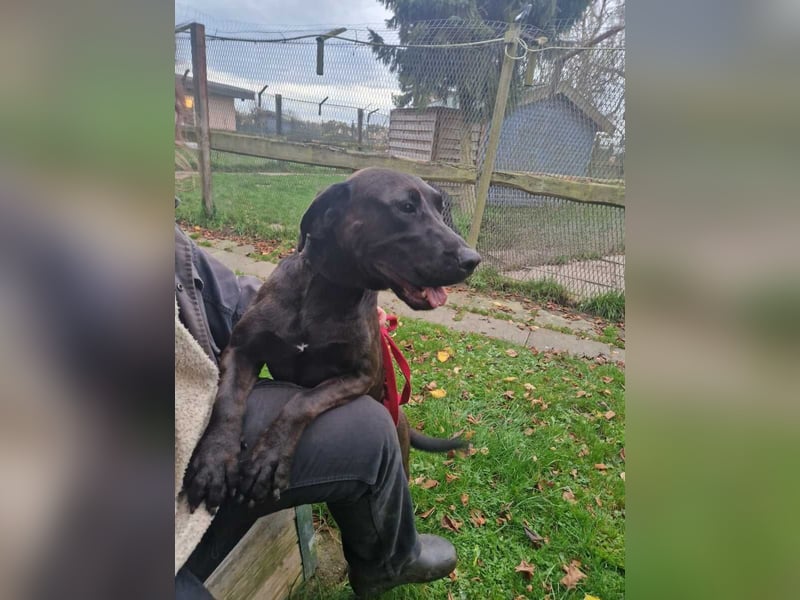 Santal - Lebensfreude pur