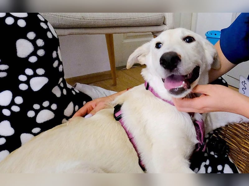 Süße Renee sucht ihr Zuhause