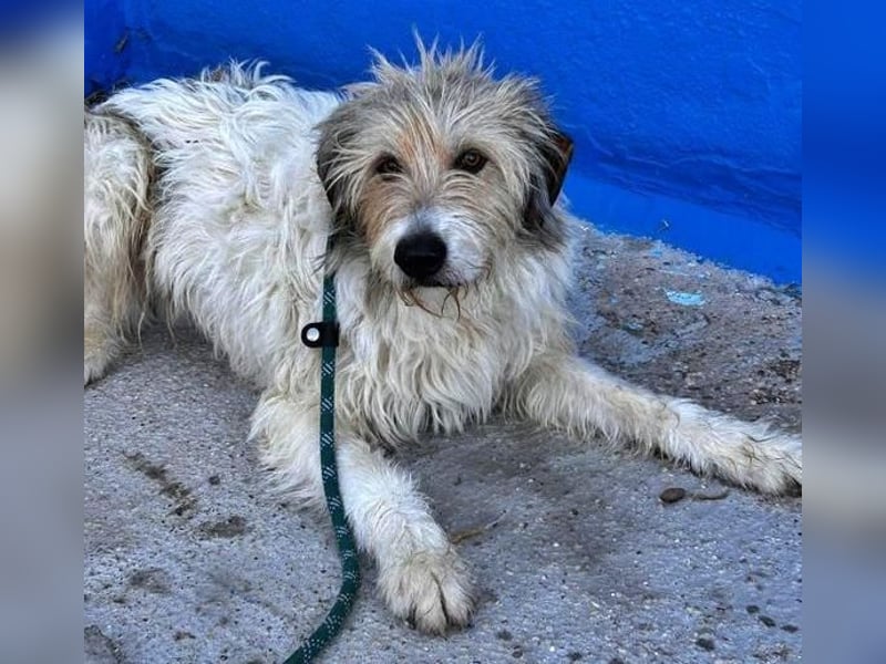 PEQUE