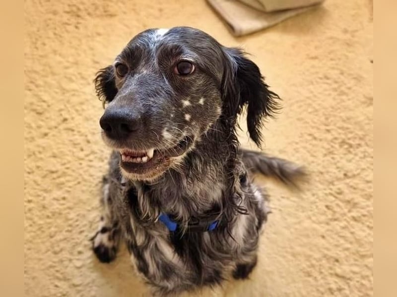 THEO der hübsche Bub