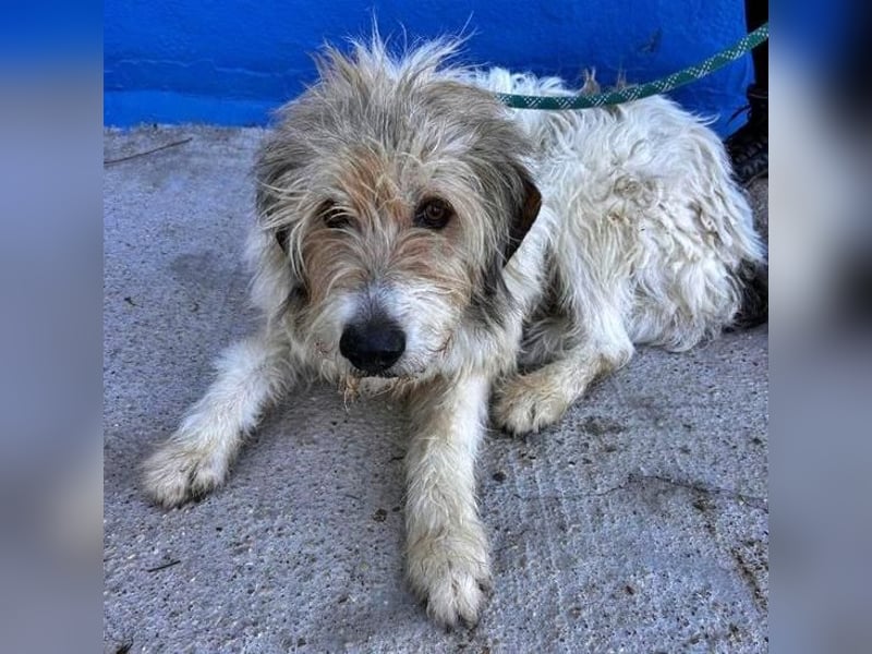 PEQUE