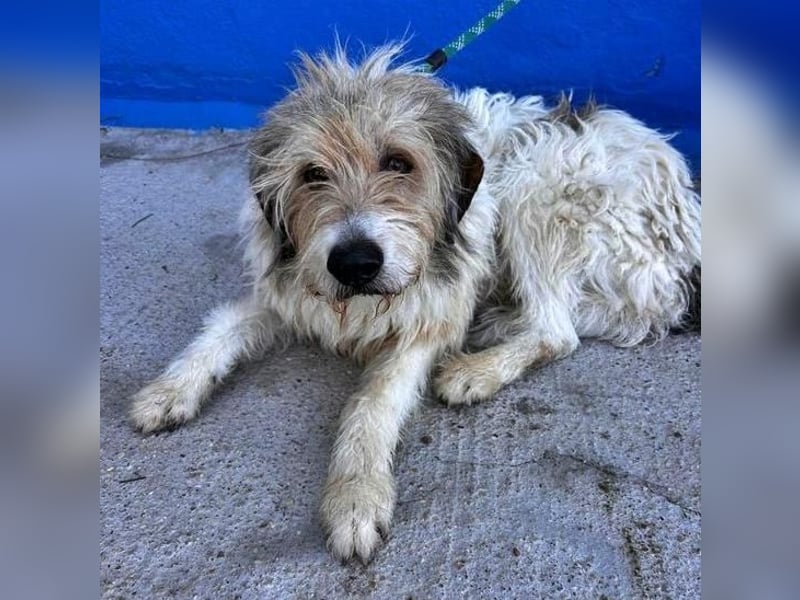 PEQUE
