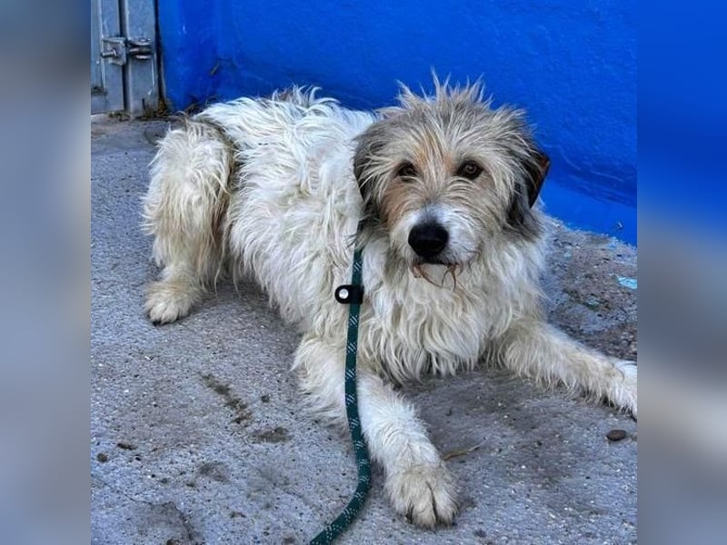 PEQUE