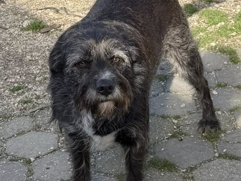 TOMILHO wünscht sich eine aktive Familie