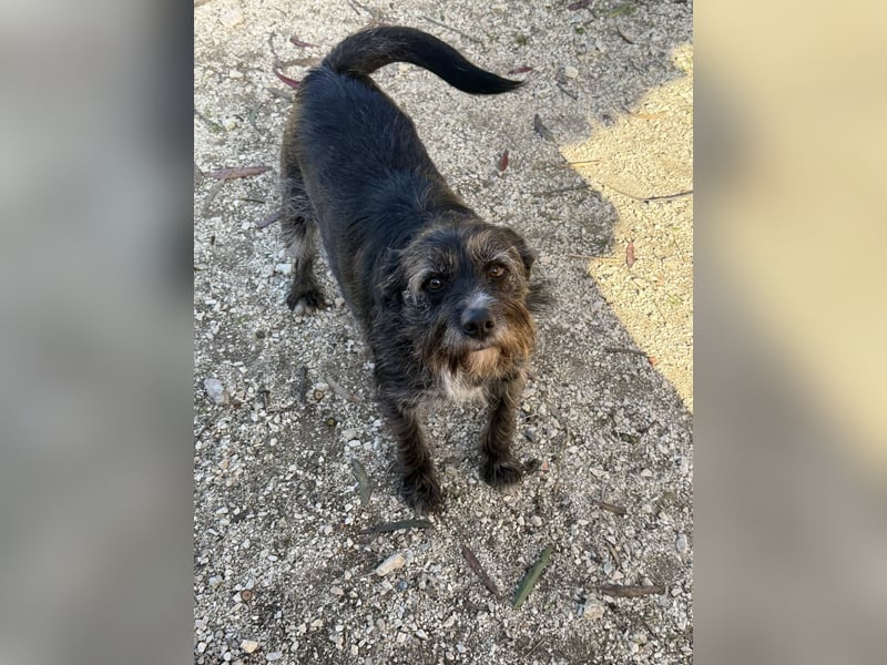 TOMILHO wünscht sich eine aktive Familie