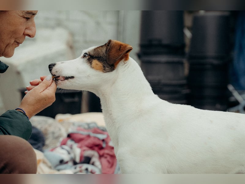 LILLY wünscht sich ein Traumzuhause
