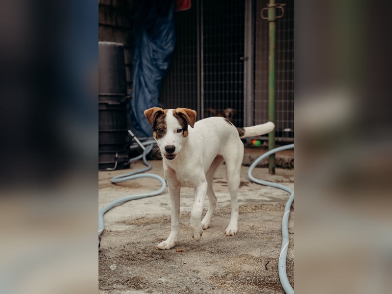 LILLY wünscht sich ein Traumzuhause