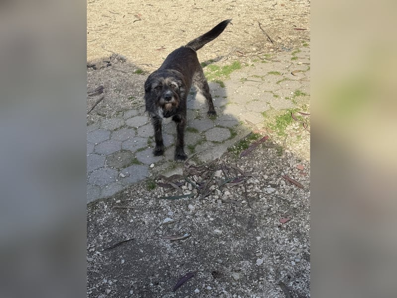 TOMILHO wünscht sich eine aktive Familie