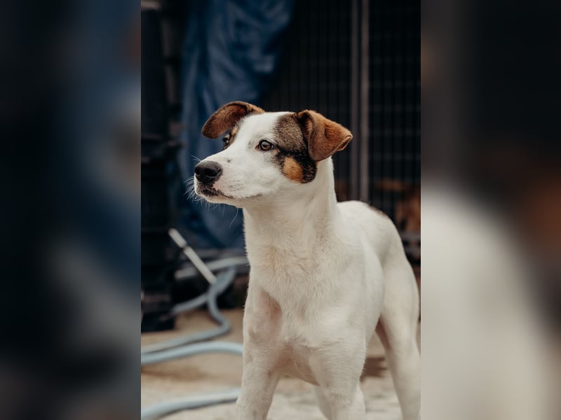 LILLY wünscht sich ein Traumzuhause