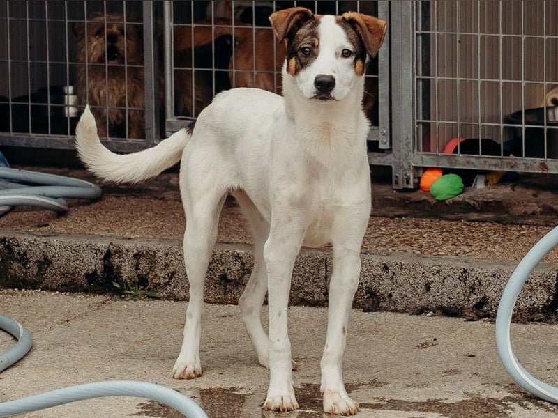 LILLY wünscht sich ein Traumzuhause