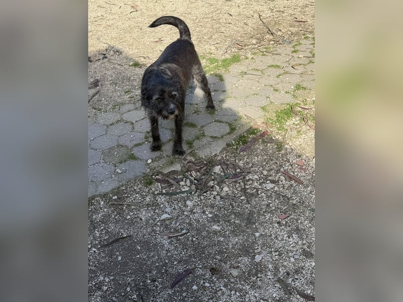 TOMILHO wünscht sich eine aktive Familie