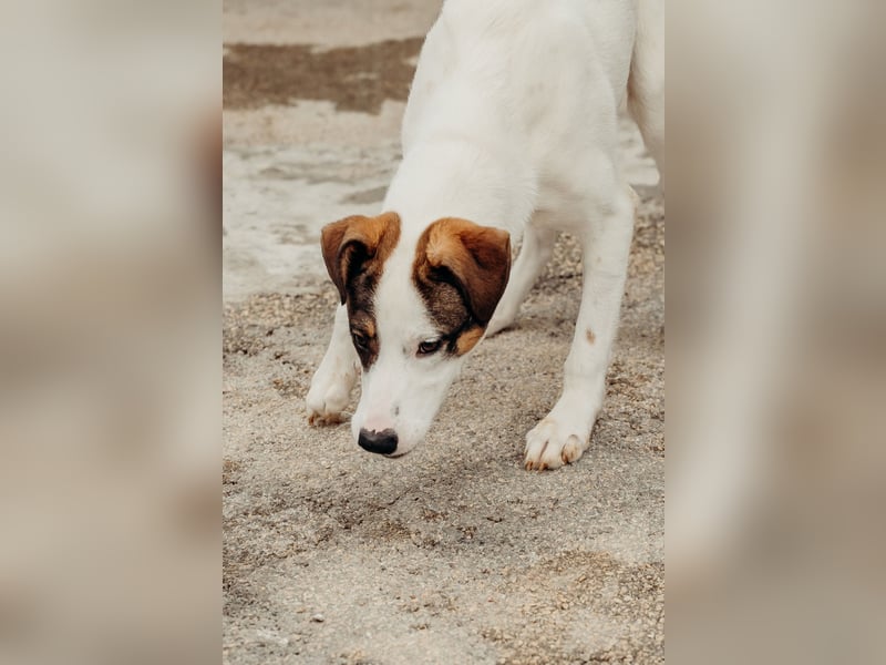 LILLY wünscht sich ein Traumzuhause