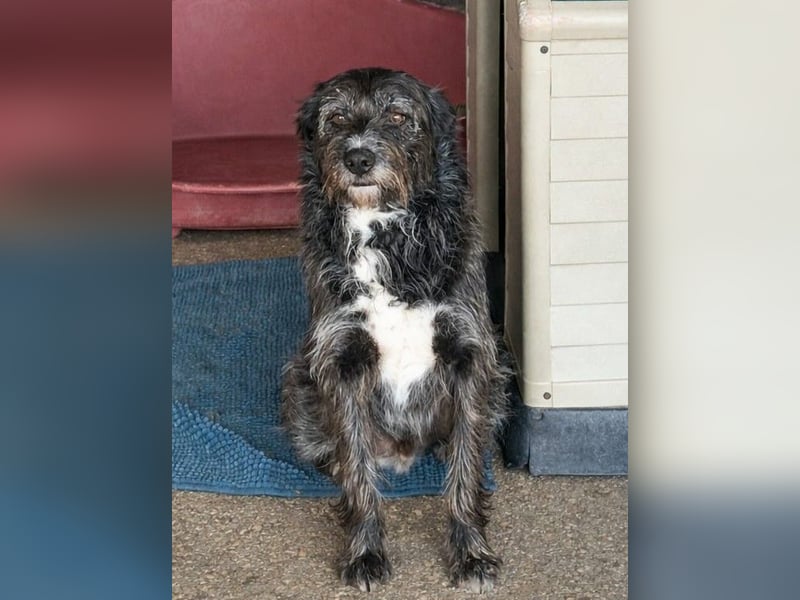 TOMILHO wünscht sich eine aktive Familie