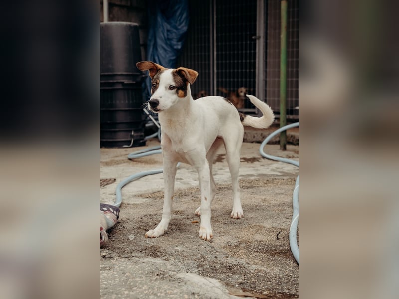 LILLY wünscht sich ein Traumzuhause