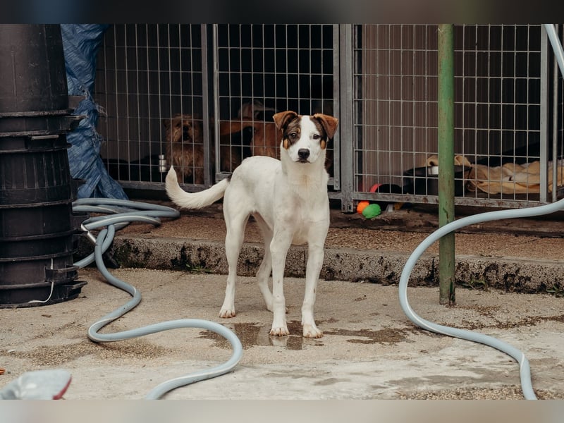 LILLY wünscht sich ein Traumzuhause