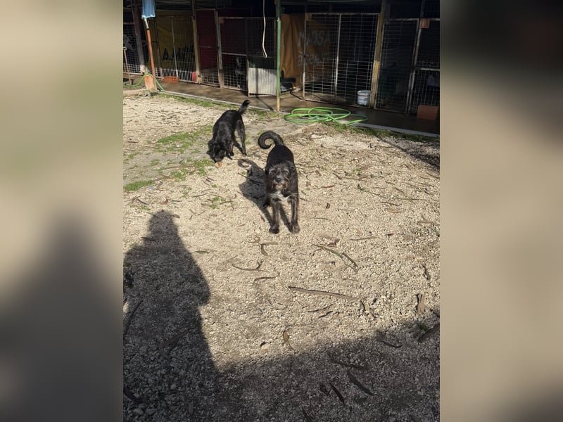 TOMILHO wünscht sich eine aktive Familie