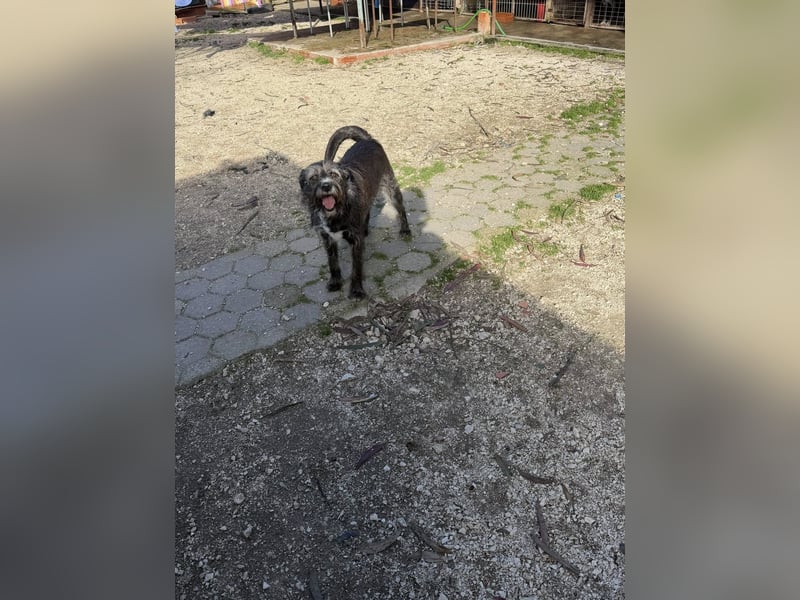 TOMILHO wünscht sich eine aktive Familie