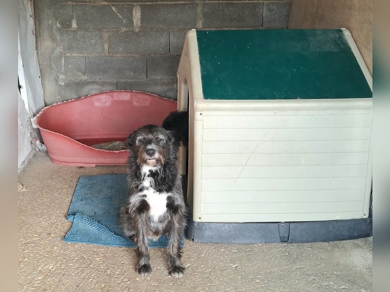 TOMILHO wünscht sich eine aktive Familie