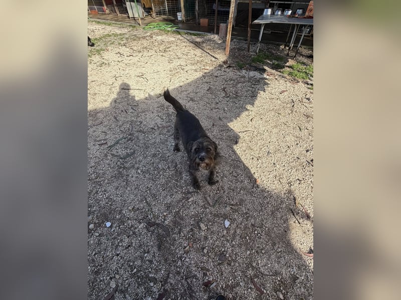 TOMILHO wünscht sich eine aktive Familie